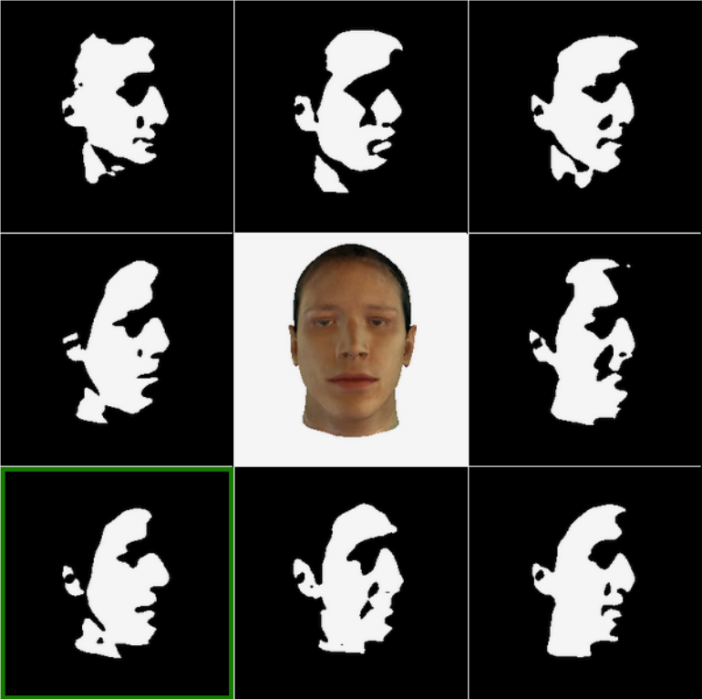 Face recognition via inference in a causal generative model